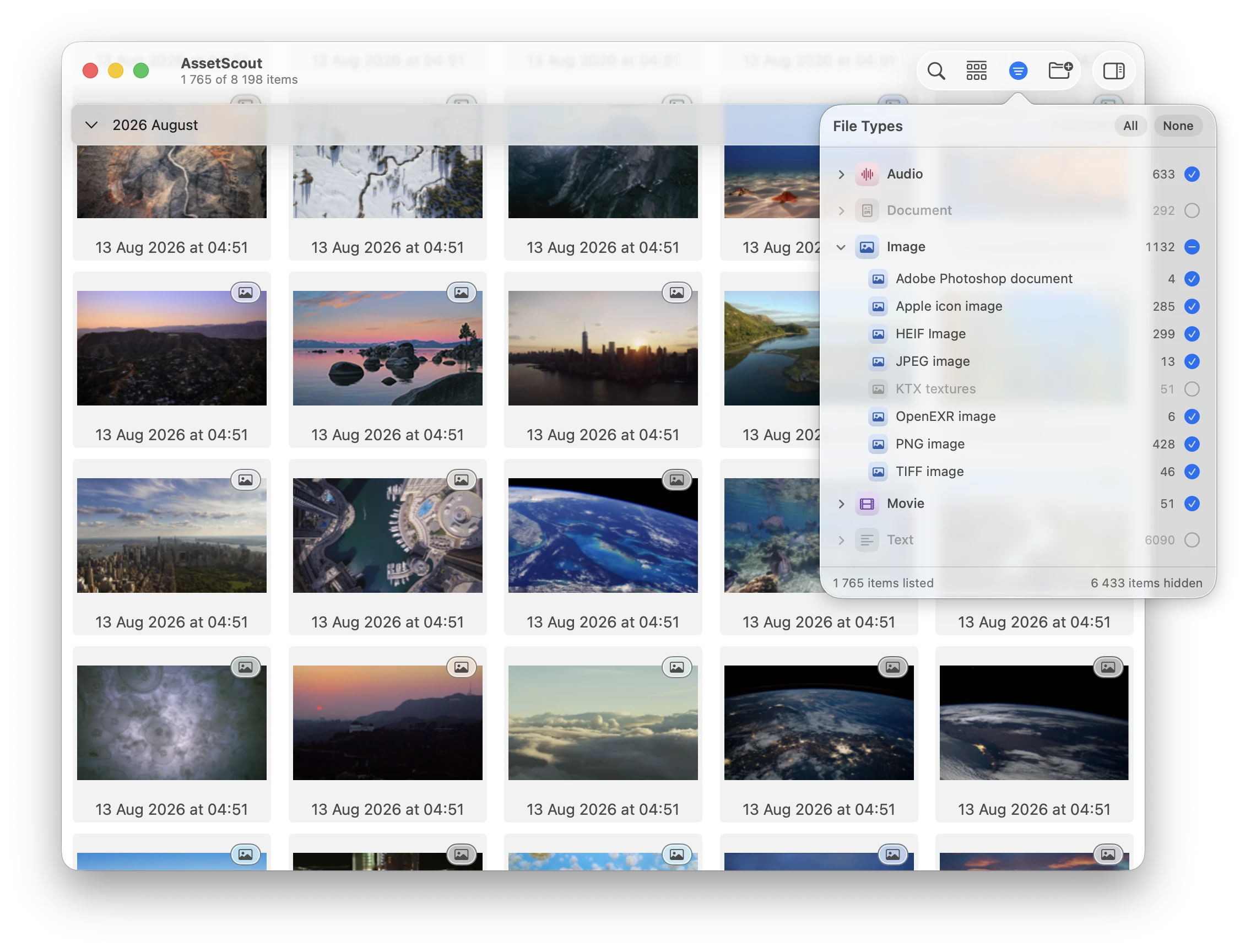 The file type filter open over the grid: Audio 633, Document 292 switched off, Image 1132 unfolded into Photoshop, Apple icon, HEIF, JPEG, KTX, OpenEXR, PNG and TIFF, Movie 51 and Text 6090, with 1 765 items listed and 6 433 hidden